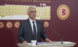 Gergerlioğlu: PKK 11 Temmuz'da silah bırakacak