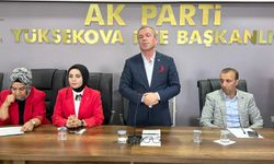 Hakkari AK Parti Teşkilatından ilçelere çıkarma