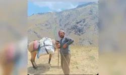 Hakkari’de koyun otlatan çoban kalp krizi geçirdi