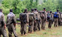 PKK üyelerinin silah bırakma adımı basına açık olacak