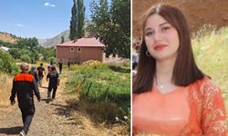 Hakkari'de kaybolan Rojda Van'da bulundu