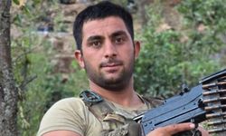 Bitlis'in Adilcevaz ve Mutki ilçelerine şahit ateşi düştü