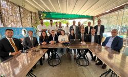Hakkari STK'larından Van'daki saldırıya tepki