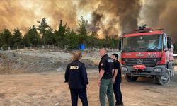 AFAD'dan orman yangınlarına ilişkin açıklama