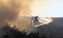 Bursa'daki orman yangınına müdahale 3. gününde sürüyor