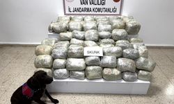 Van Başkale'de 70 kilo skunk ele geçirildi