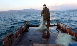 Van Gölü'nde av sezonu başladı, ağlar göle bırakıldı