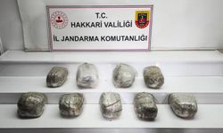 Hakkari'de 14 kilogram skunk ele geçirildi