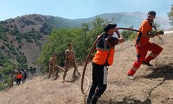 Şemdinli’deki orman yangını kontrol altına alındı
