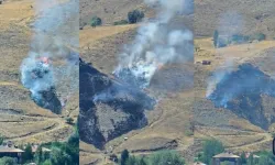 Hakkari’de otluk alanda yangın paniği