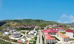 Bitlis'te tıp fakültesi kurulması kararı sevinçle karşılandı