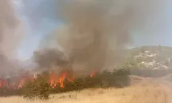 Şırnak’ta örtü yangını: Ekipler müdahale ediyor