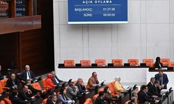 Meclis komisyonu İmralı'ya giderek Öcalan ile görüşebilir’