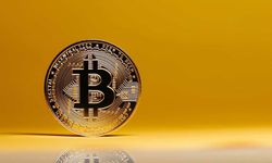 Bitcoin 113 bin dolar seviyelerinde tutunuyor