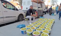 Çukurca İnciri tezgâhtaki yerini aldı
