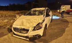 Bingöl'de otomobilin çarptığı inek telef oldu