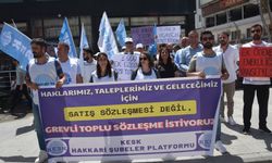 Hakkari'de kamu emekçileri greve gitti