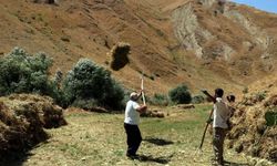 Hakkari’de teleferikle ot taşıma dönemi