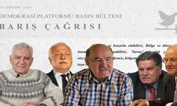 Demokrasi Platformu’ndan iki dilde çağrı