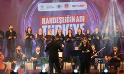 Batman’da “Kardeşliğin Adı Türkiye” konseri düzenlendi