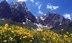 Hakkari'de buz tırmanışı eğitimi verilecek