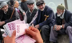 Üvey evlatlar Emekliler! Aziz Hatipoğlu yazdı!