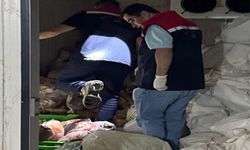 Şırnak'ta 3 ton kaçak et ele geçirildi