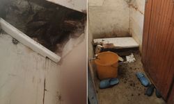 Hakkarili ailenin harabe evde yaşam mücadelesi