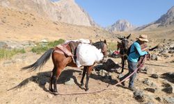 Hakkari dağlarının görünmeyen kahramanları