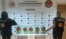 Tırın yakıt deposuna 33 litre metamfetamin çıktı