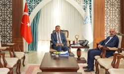 Genel Sekreter Gündoğan Vali Çelik'i ziyaret etti