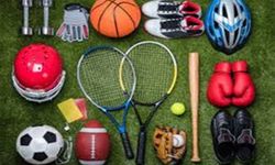 HAKKARİ GENÇLİK VE SPOR İL MÜDÜRLÜĞÜ-SPOR MALZEME VE ALETLERİ SATIN ALINACAKTIR