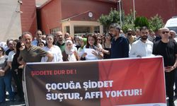 Hakkari'deki STK'lardan Elyas'a Taş olayına sert tepki