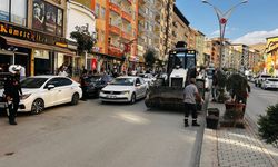 Hakkari’de 250 ağaç toprakla buluştu