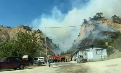 Aydın Efeler'de korkutan orman yangını