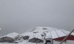 Artvin'inin yüksek yaylalarına kar yağdı