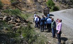 Van'da kayalık alandan düşen 334 küçükbaş hayvan telef oldu