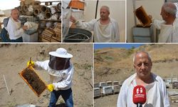 'Arı şehri' Hakkari’de sezon finali başladı