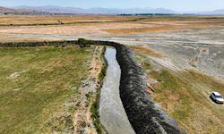 DSİ Hakkari'de dereleri atıklardan arındırıyor