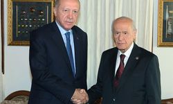 Erdoğan MHP Genel Başkanı Bahçeli ile görüştü