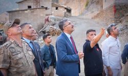 Vali Çelik,Dağdibi Mezrası’nda incelemelerde bulundu