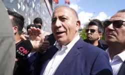 Gürsel Tekin görevine devam edecek