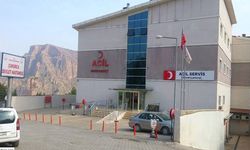 Hakkari’de ceviz ağacından düşen kişi hayatını kaybetti