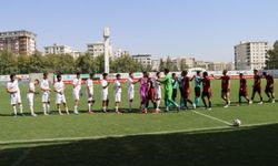 Hakkari Zap Spor Ziraat Türkiye kupasına veda etti