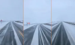 Van’a yeni yılın ilk karı düştü!