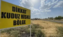 Tilkiyle boğuşan köpek kuduz oldu