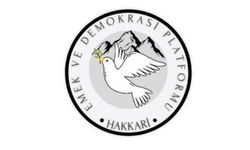 Hakkari Emek ve Demokrasi Platformundan çağrı
