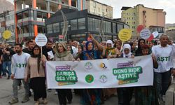 Hakkari'de 1 Eylül Dünya Barış Günü kutlandı