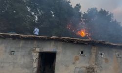 Şemdinli'de yangın: Yerleşim yerleri tehlike altında