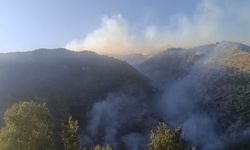 Hakkari'deki yangınına müdahale sürüyor